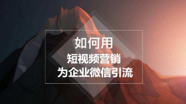 沒技術(shù)，沒流量，沒人帶，我該怎么賺錢？