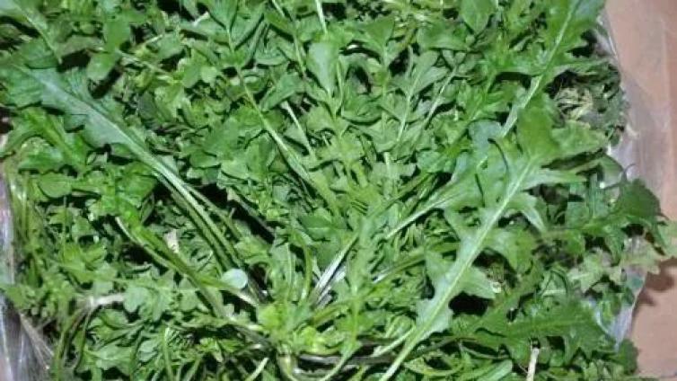 賣野菜年入30萬，他是如何玩轉網(wǎng)絡營銷項目的？