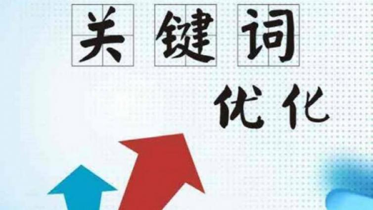 網(wǎng)絡(luò)營(yíng)銷之Seo優(yōu)化的基本知識(shí)！