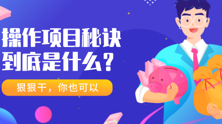 一個推薦新手操作的網賺項目！