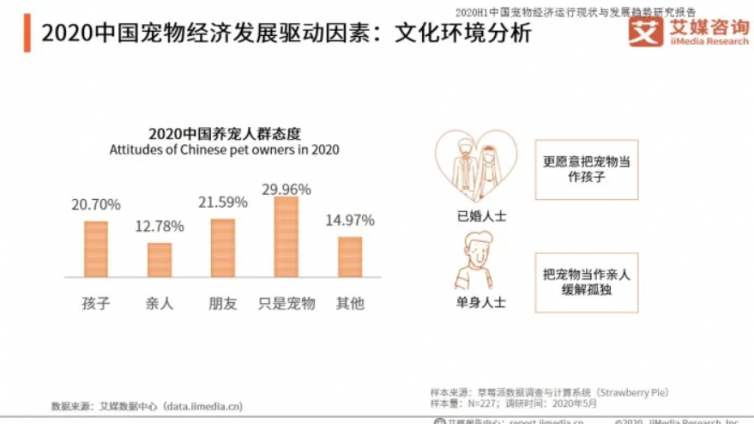 網(wǎng)絡(luò)項(xiàng)目有哪些？如何打造寵物行業(yè)細(xì)分領(lǐng)域的暴利項(xiàng)目！