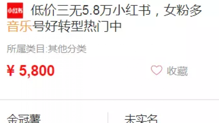 小紅書音樂號(hào)：0成本批量快速起號(hào)變現(xiàn)實(shí)操玩法！