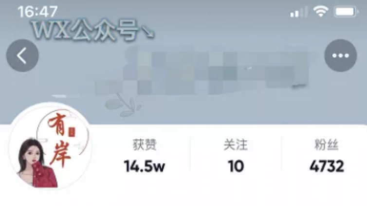 【網(wǎng)絡(luò)營銷項目】抖音小眾藍海虛擬項目，可批量矩陣式操作！
