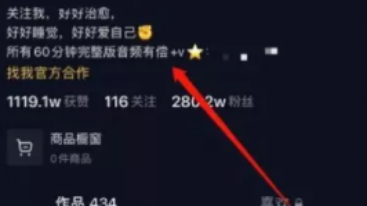 每天2小時(shí)，批量操作這個(gè)抖音藍(lán)海搬磚項(xiàng)目，一個(gè)視頻賺25w+！