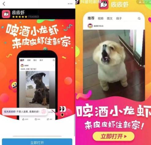 抖音和今日頭條