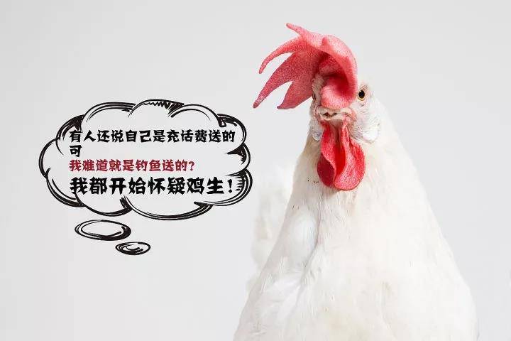 賣雞