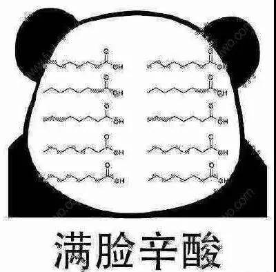 流量巨頭
