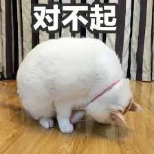 對(duì)不起