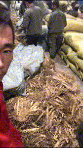 拍攝創(chuàng)意