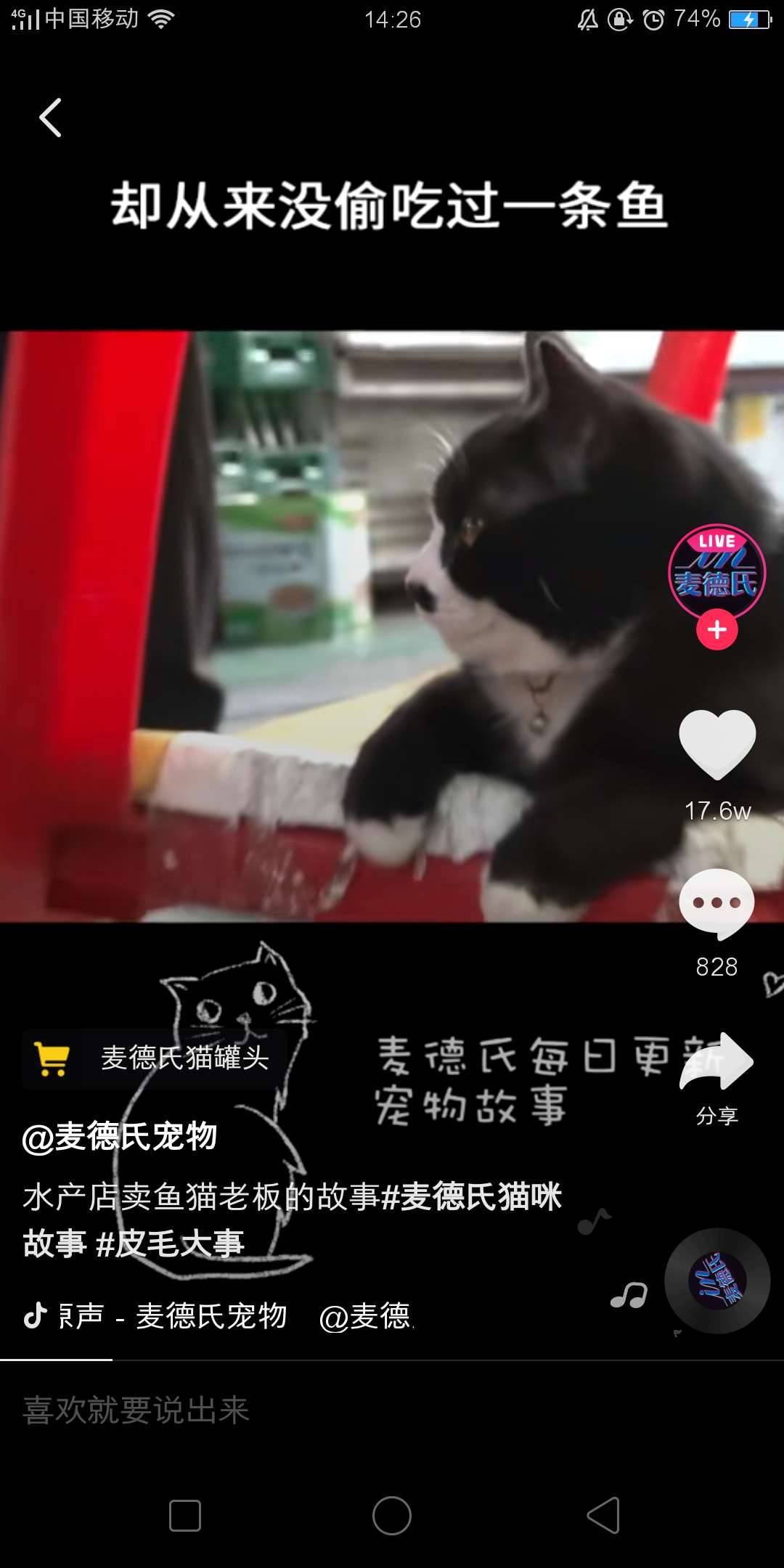 抖音拍寵物