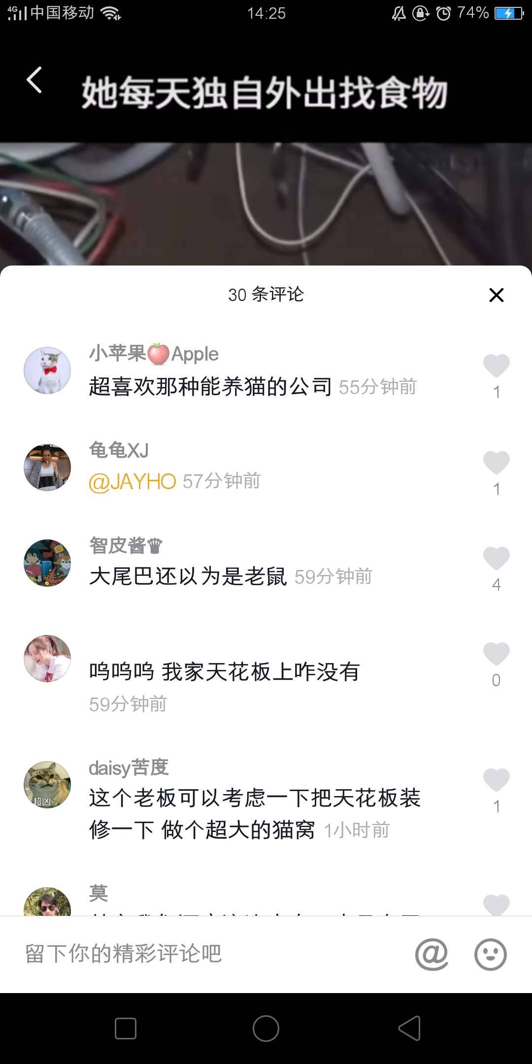 萌寵類(lèi)的賬號(hào)