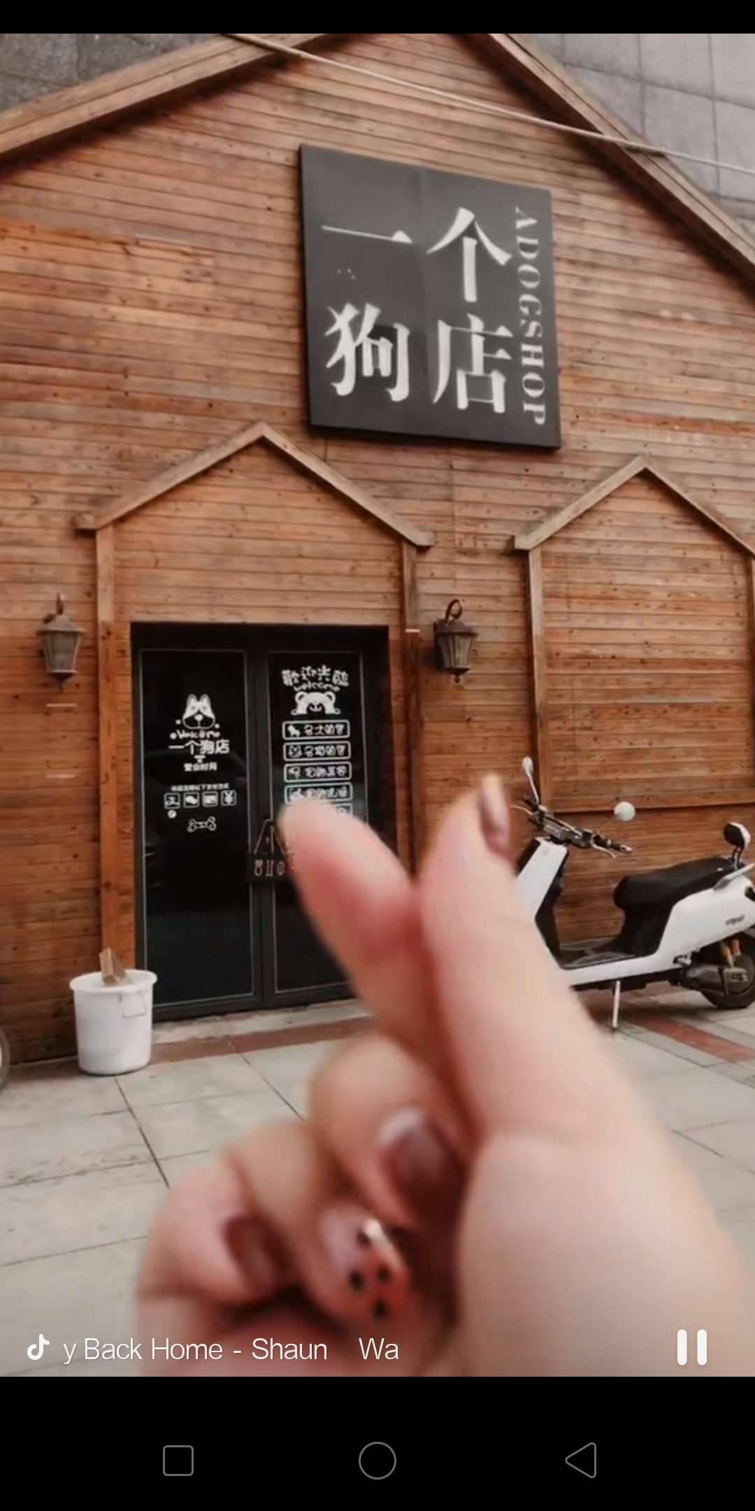 寵物店