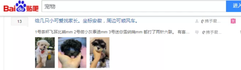 網(wǎng)絡(luò)項(xiàng)目