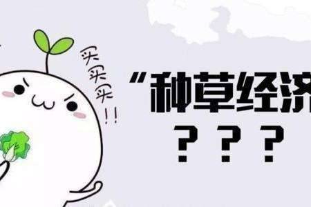 網(wǎng)絡(luò)營銷