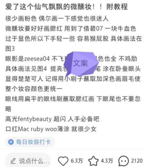 小紅書賺錢