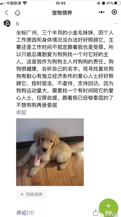 網(wǎng)絡(luò)營銷項目