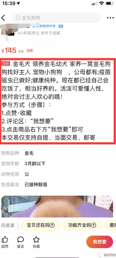網(wǎng)絡(luò)營銷項目