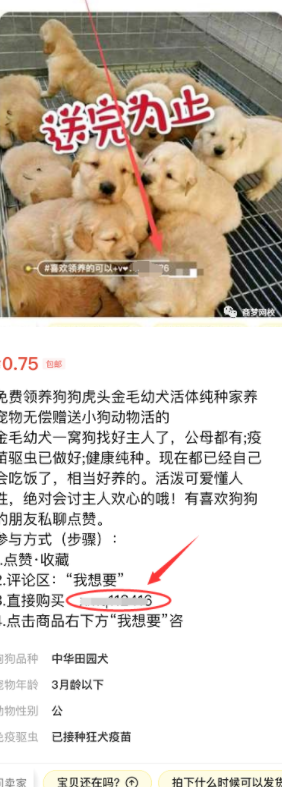 網(wǎng)絡(luò)營銷項目