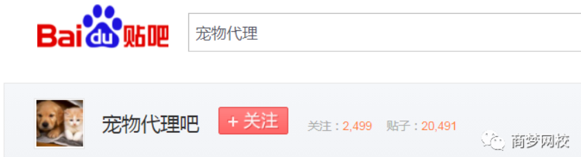 網(wǎng)絡(luò)營銷項目