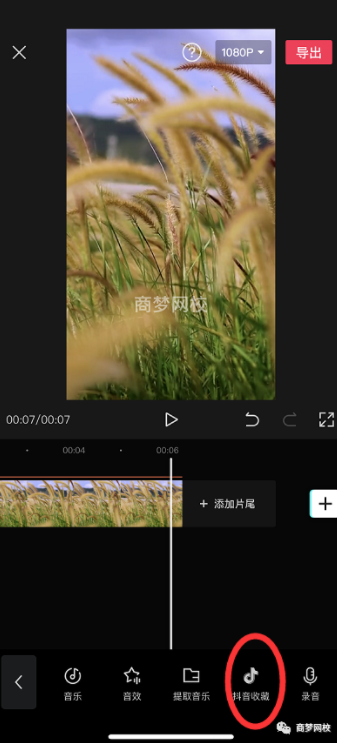 抖音視頻素材